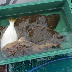 ANTARES(アンタレス) 釣果