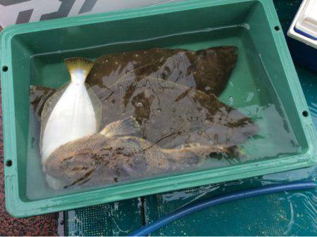 ANTARES(アンタレス) 釣果