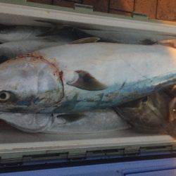 幸風（さちかぜ） 釣果