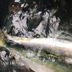 幸風(さちかぜ) 釣果