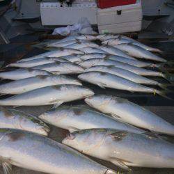 幸風（さちかぜ） 釣果