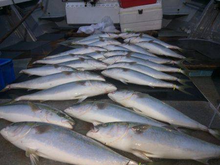 幸風（さちかぜ） 釣果