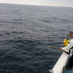 第五慶門丸 釣果