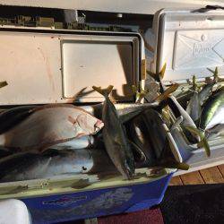 幸風（さちかぜ） 釣果