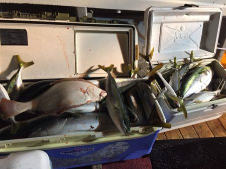 幸風（さちかぜ） 釣果