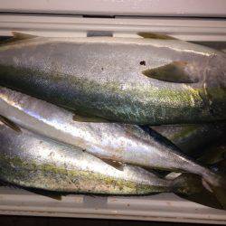 幸風（さちかぜ） 釣果