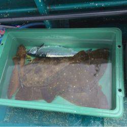 ＡＮＴＡＲＥＳ（アンタレス） 釣果