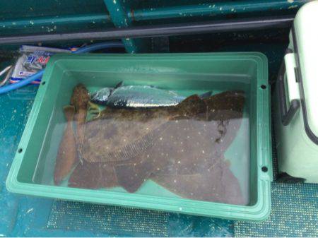 ＡＮＴＡＲＥＳ（アンタレス） 釣果