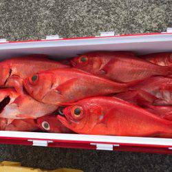 番匠高宮丸 釣果