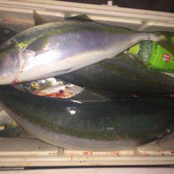 幸風（さちかぜ） 釣果