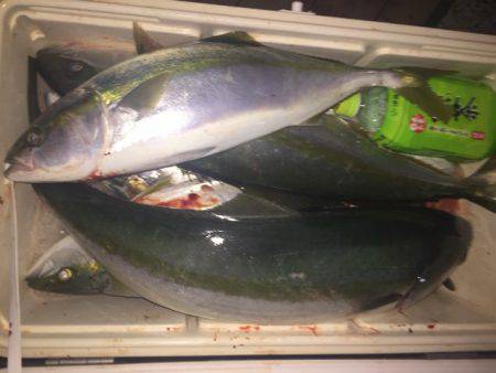 幸風（さちかぜ） 釣果