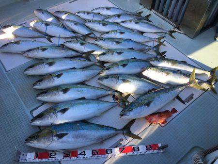 ふじしめ丸 釣果