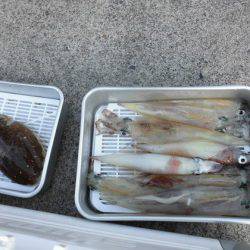 大進丸(新潟) 釣果