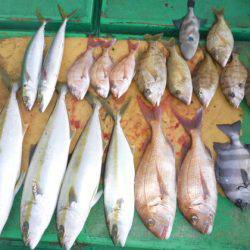 真祐丸 （しんゆうまる） 釣果