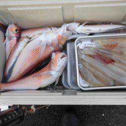 大進丸(新潟) 釣果