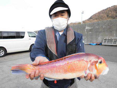 大進丸（新潟） 釣果