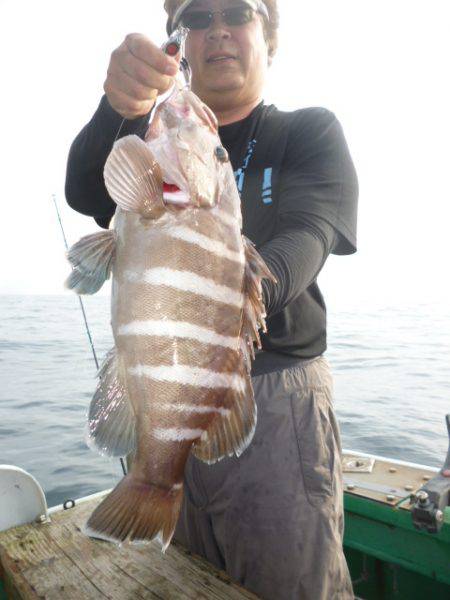 真祐丸 （しんゆうまる） 釣果