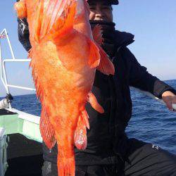 遊漁船 新鋭丸 釣果