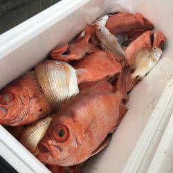 寿裕 (YOSHIHIRO) 釣果