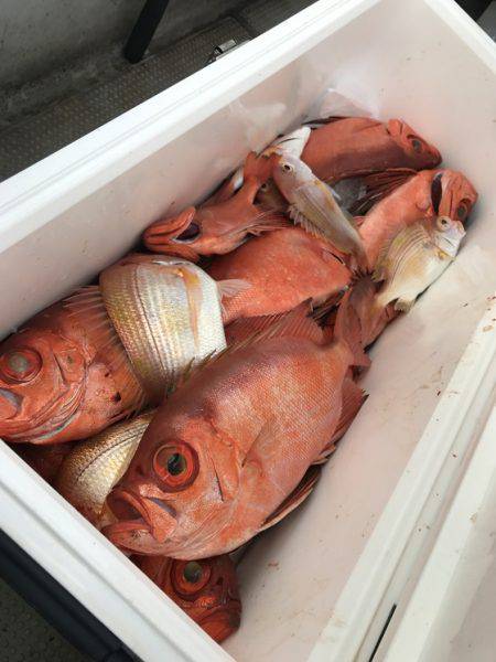 寿裕 (YOSHIHIRO) 釣果