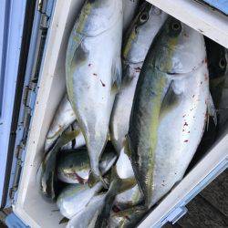 寿裕 （YOSHIHIRO） 釣果