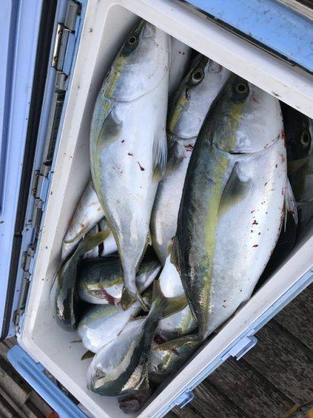 寿裕 （YOSHIHIRO） 釣果