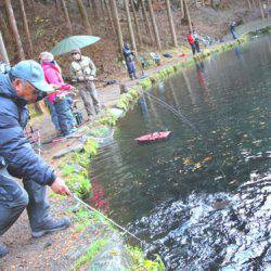小菅トラウトガーデン 釣果