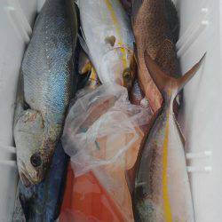 遊漁船 新鋭丸 釣果