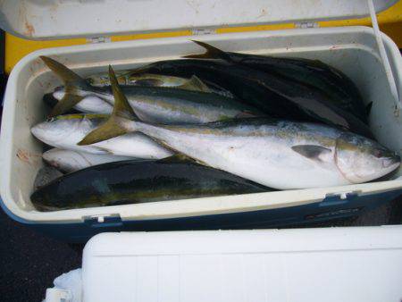 KOU（コウ） 釣果