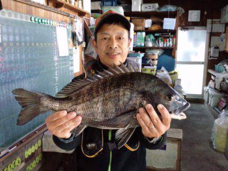 ふじや釣舟店 釣果