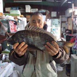 ふじや釣舟店 釣果