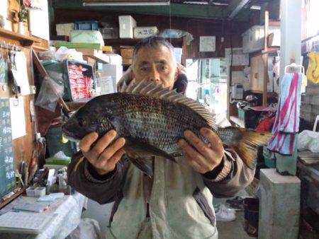 ふじや釣舟店 釣果
