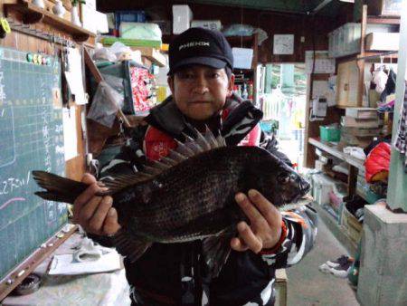 ふじや釣舟店 釣果