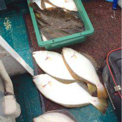 ANTARES(アンタレス) 釣果