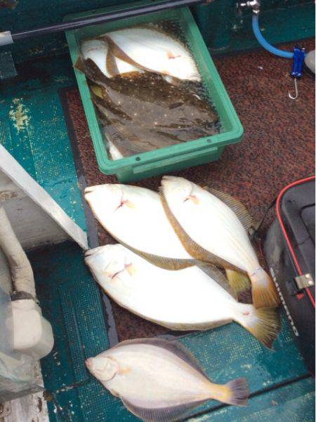 ANTARES(アンタレス) 釣果