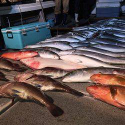 幸風（さちかぜ） 釣果
