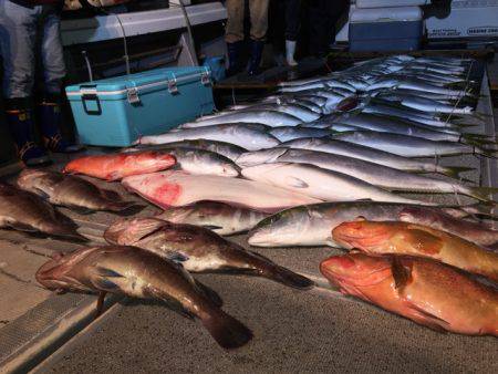 幸風（さちかぜ） 釣果