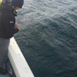 第五慶門丸 釣果