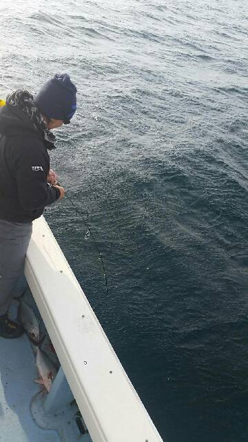 第五慶門丸 釣果