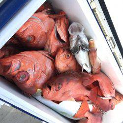 寿裕 (YOSHIHIRO) 釣果