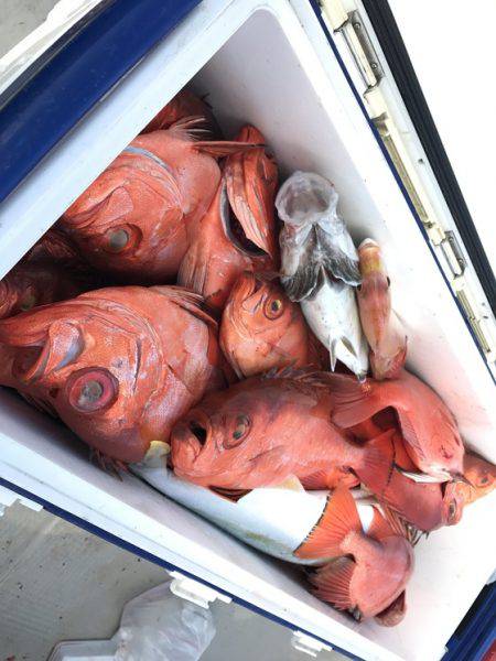 寿裕 (YOSHIHIRO) 釣果