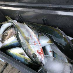 寿裕 （YOSHIHIRO） 釣果