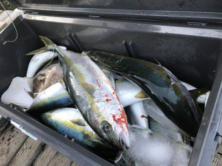 寿裕 （YOSHIHIRO） 釣果