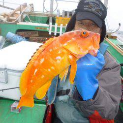 真祐丸 (しんゆうまる) 釣果