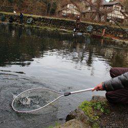 小菅トラウトガーデン 釣果