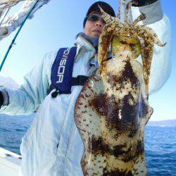 海晴丸 釣果