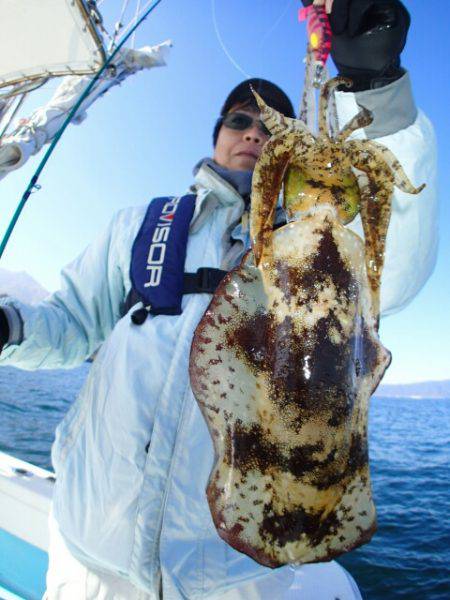 海晴丸 釣果