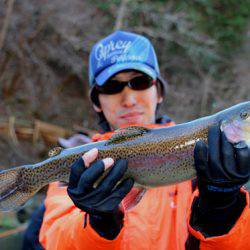 小菅トラウトガーデン 釣果