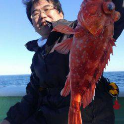 遊漁船 新鋭丸 釣果