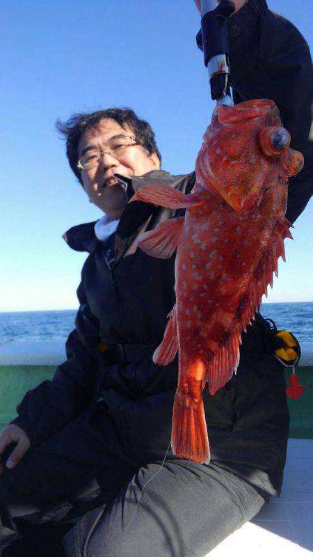 遊漁船 新鋭丸 釣果